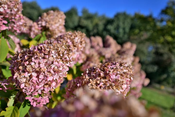 Foto 40 van Biesterveldsweg 3-A