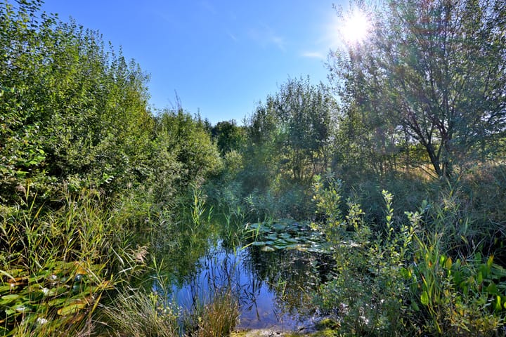 Foto 46 van Biesterveldsweg 3-A