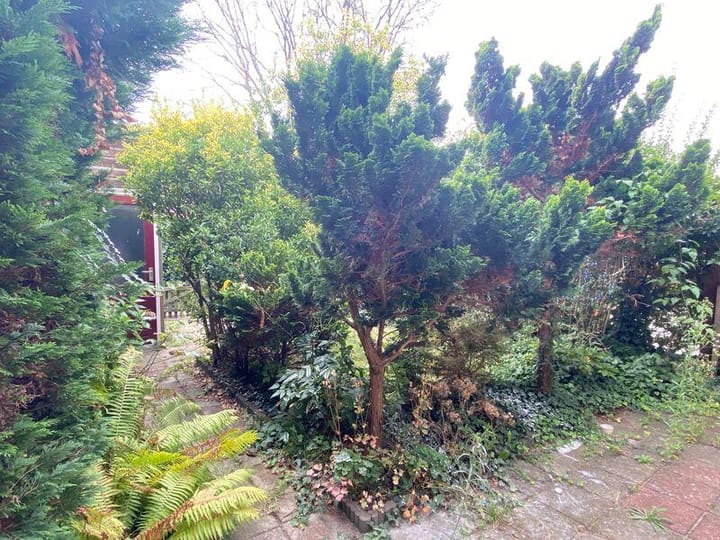 Photo 13 of Zuiderhagen 38