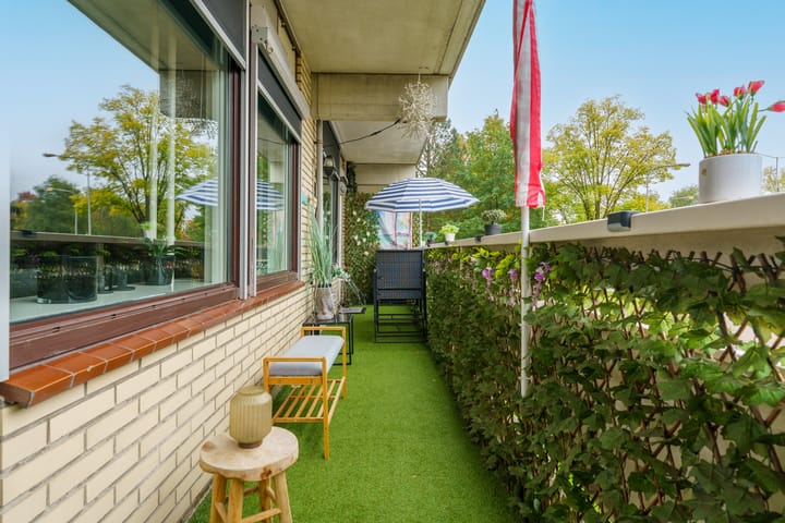 Foto 4 van de Koppele 223