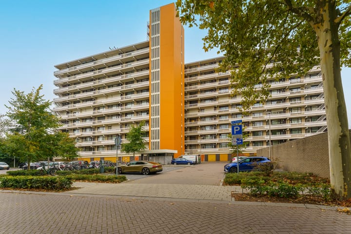 Foto 7 van de Koppele 223