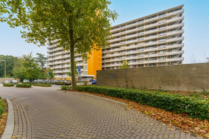 Foto 8 van de Koppele 223