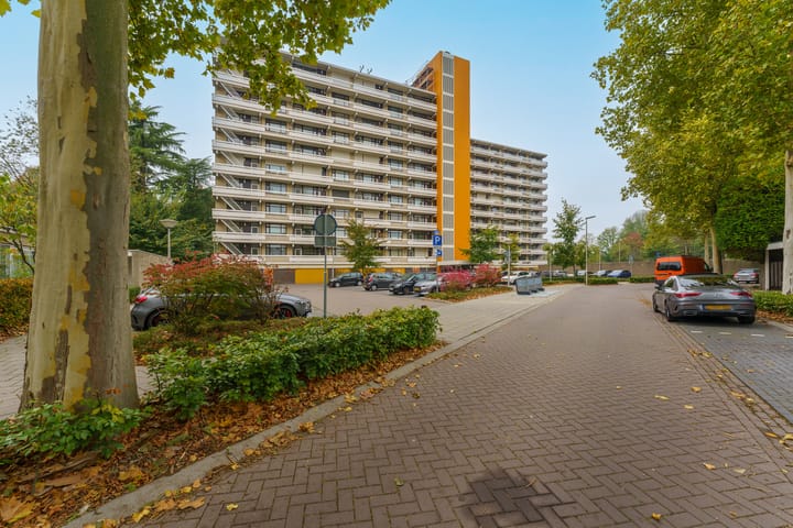 Foto 9 van de Koppele 223