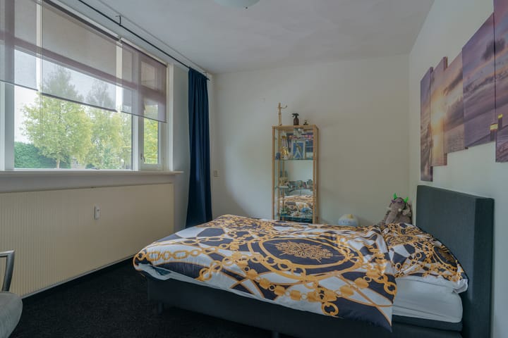 Foto 13 van de Koppele 223