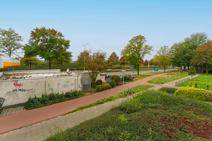 Foto 35 van de Koppele 223