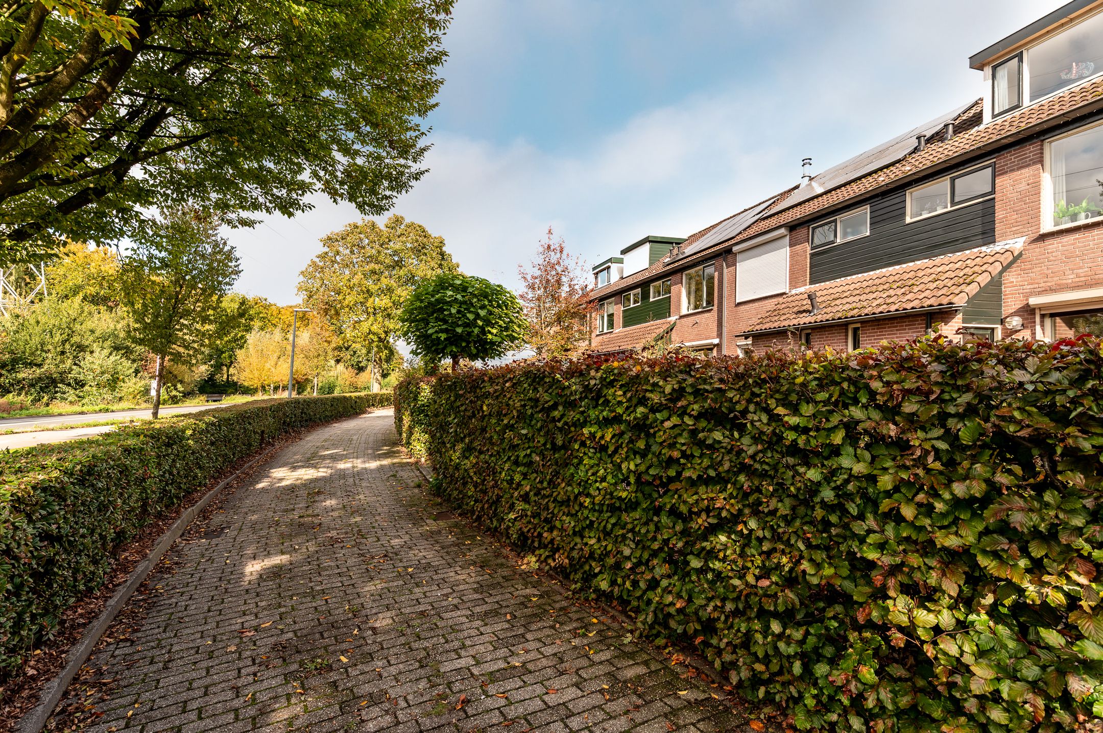 Photo 42 of Korte Haeg 65