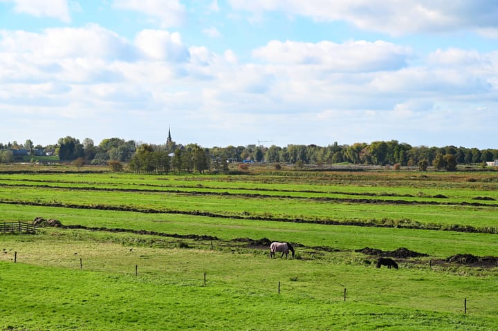 Foto 2 van Regenboog 16