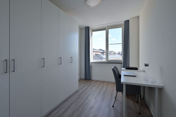 Foto 16 van Regenboog 16