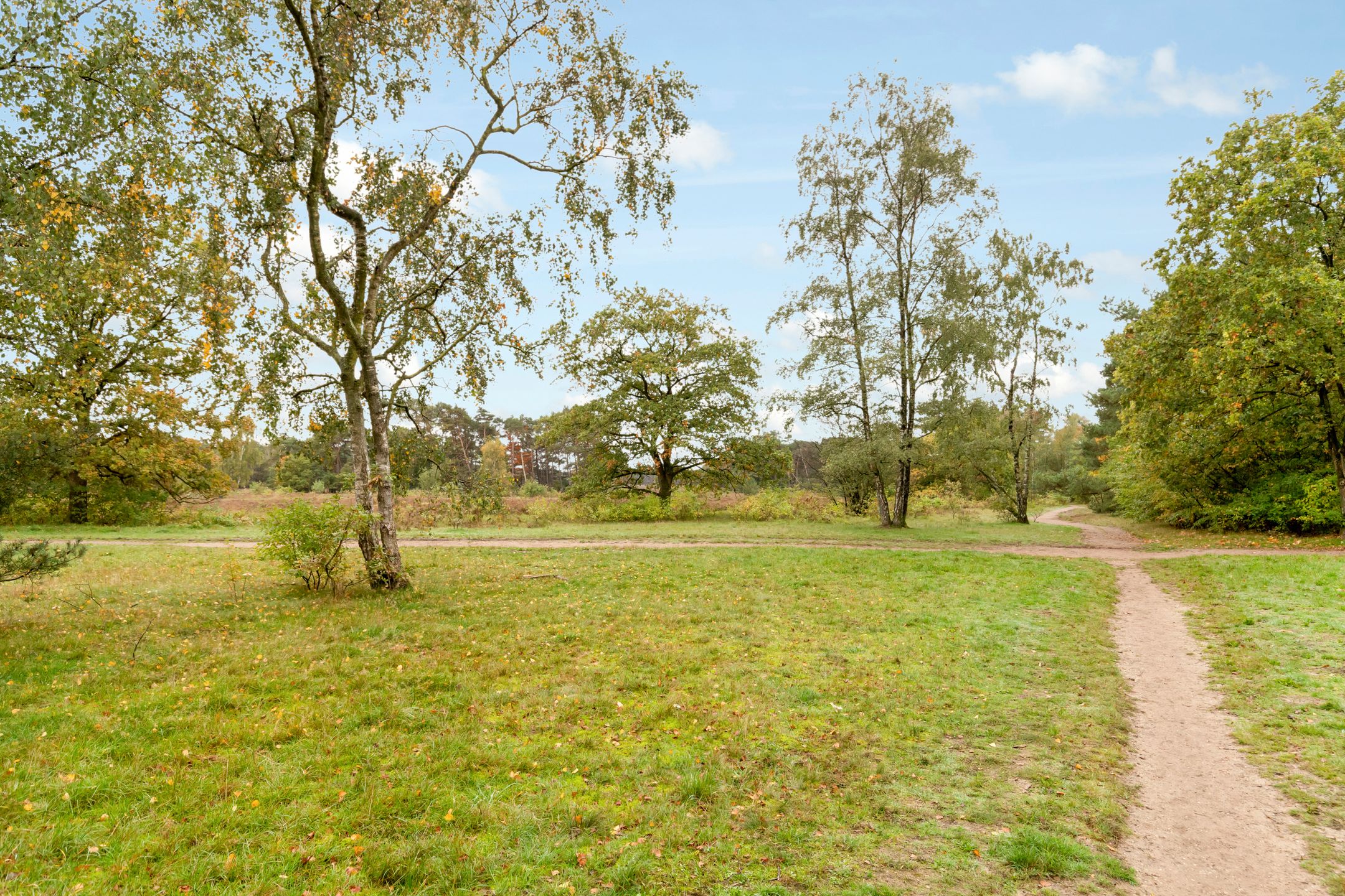 Foto 24 van Anne Franklaan 32