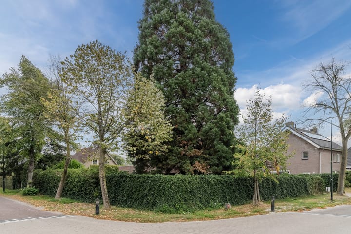 Foto 65 van Eeuwselsestraat 1