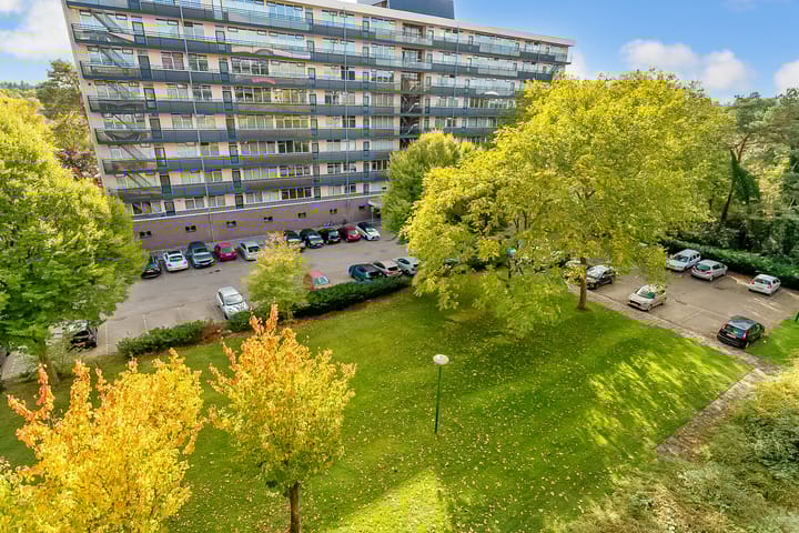 Foto 19 van Goudvinklaan 76