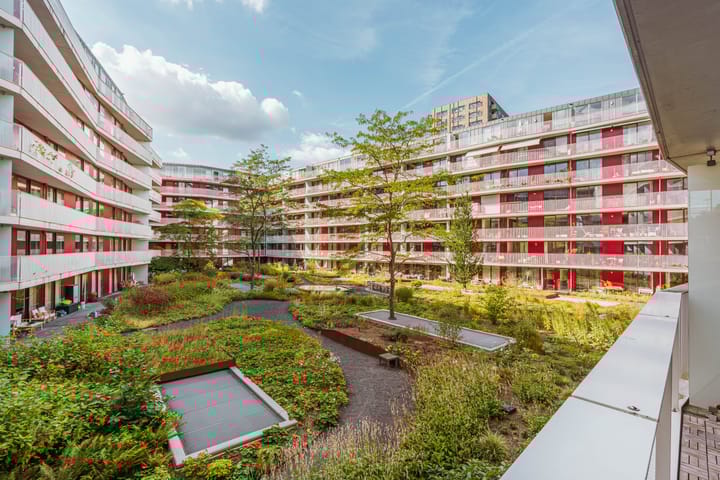 Carolina MacGillavrylaan 464 main image