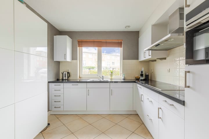 Foto 3 van Schijfmos 48