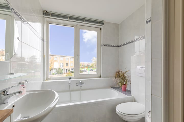 Foto 4 van Schijfmos 48