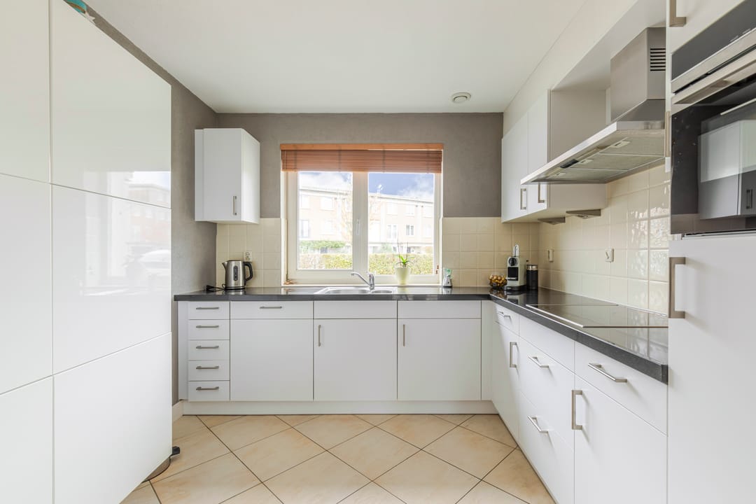 Foto 13 van Schijfmos 48