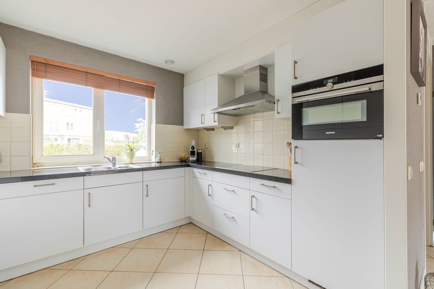 Foto 14 van Schijfmos 48