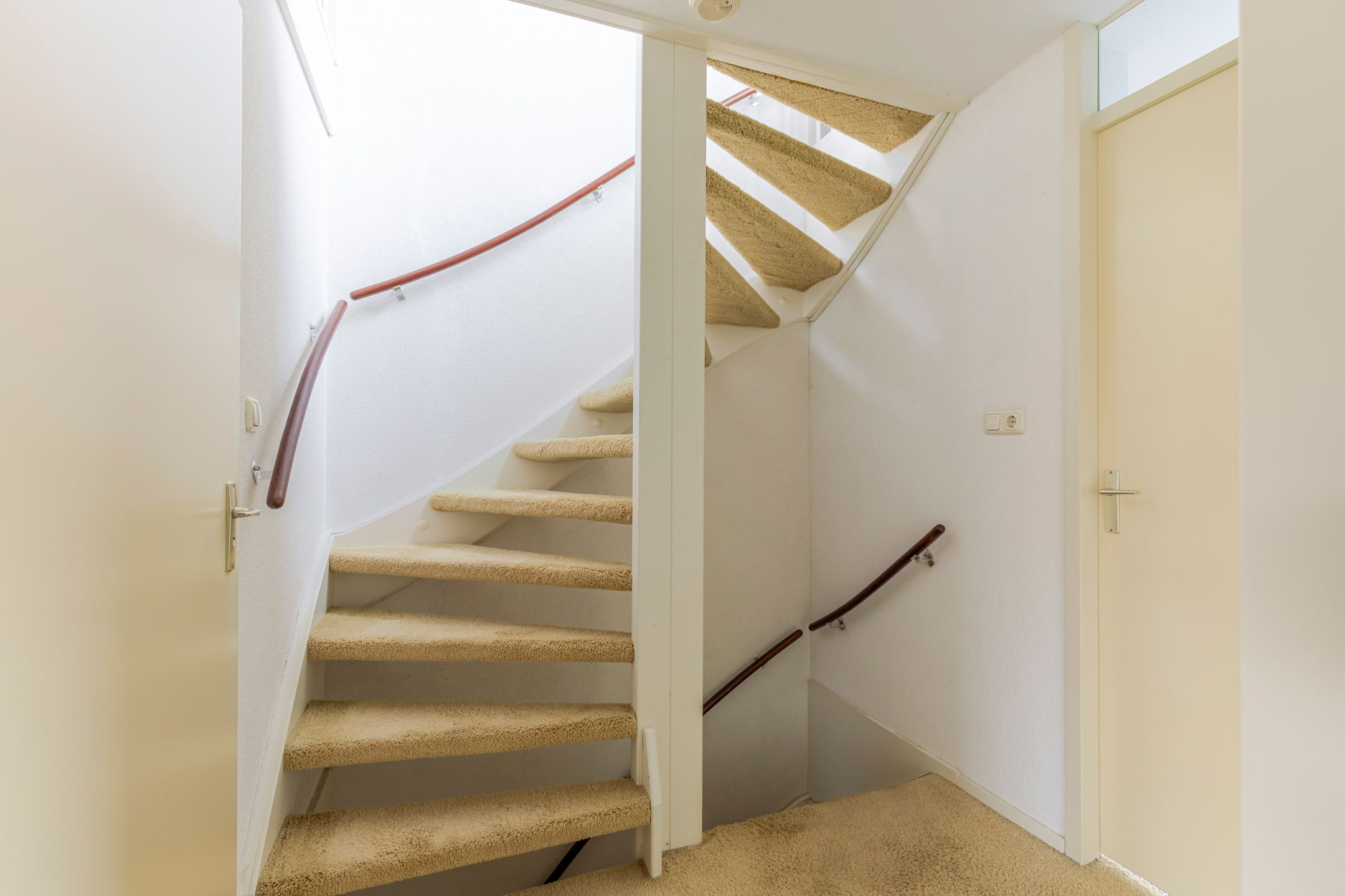 Foto 15 van Schijfmos 48