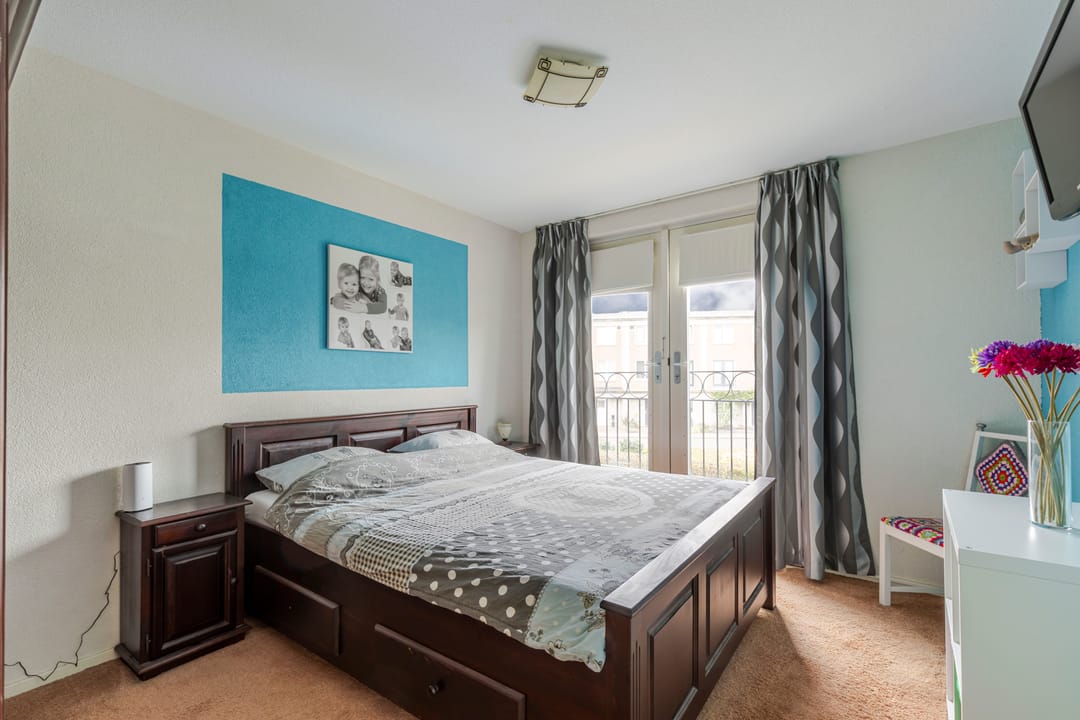 Foto 16 van Schijfmos 48