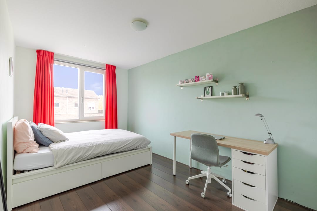 Foto 17 van Schijfmos 48