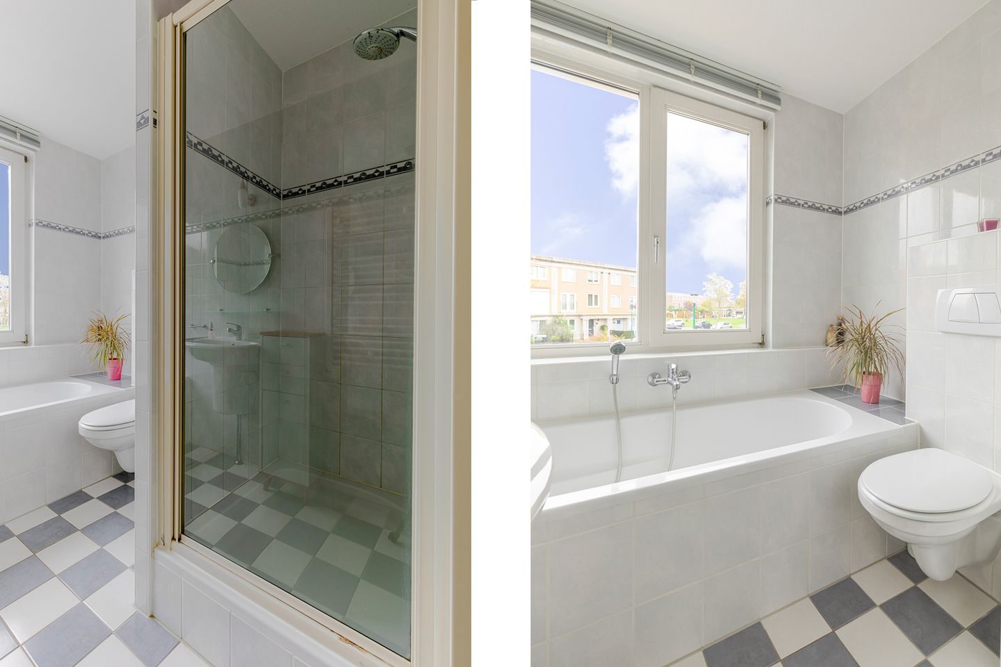 Foto 20 van Schijfmos 48