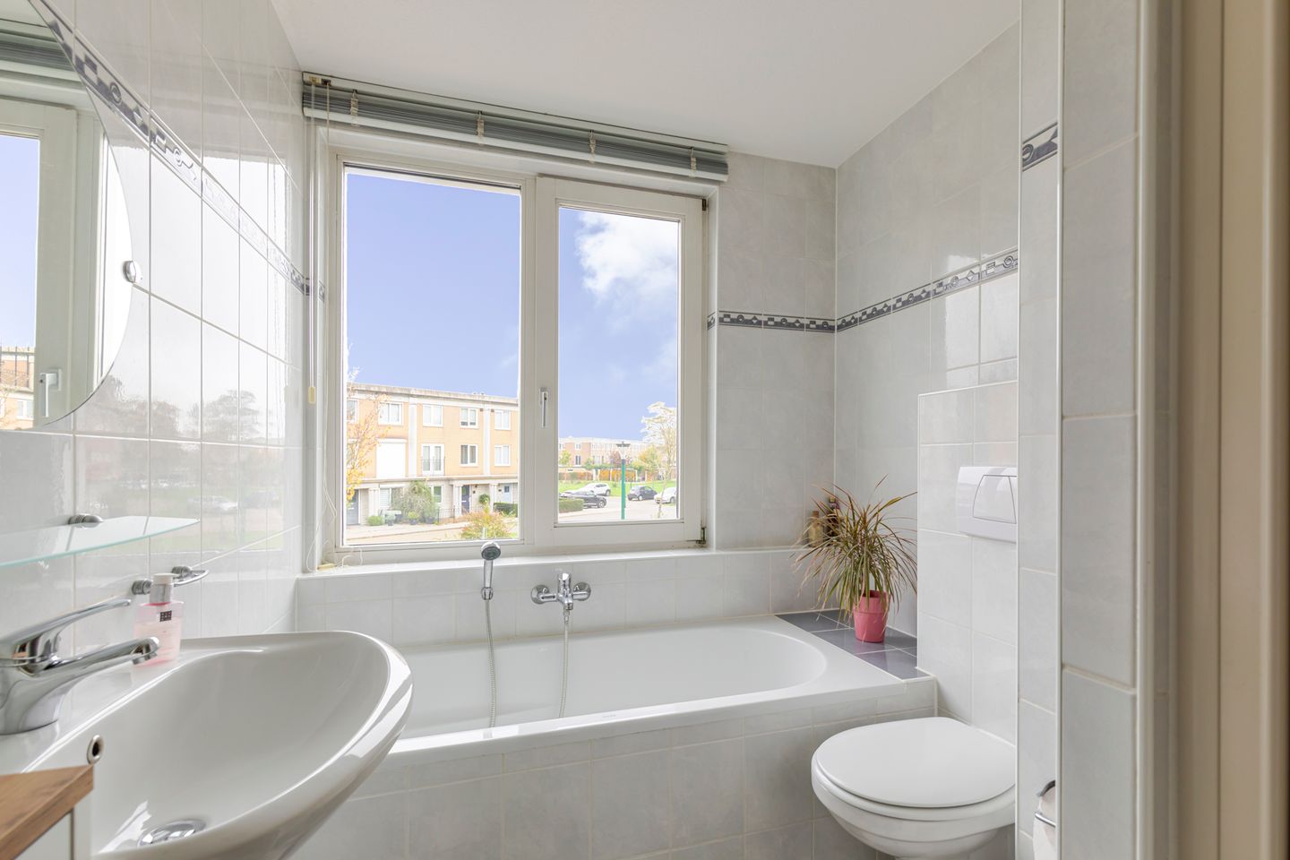 Foto 19 van Schijfmos 48