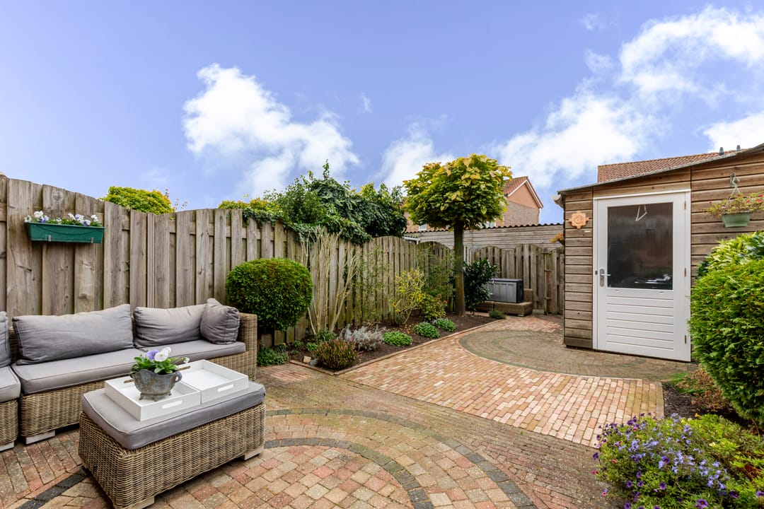 Foto 23 van Schijfmos 48