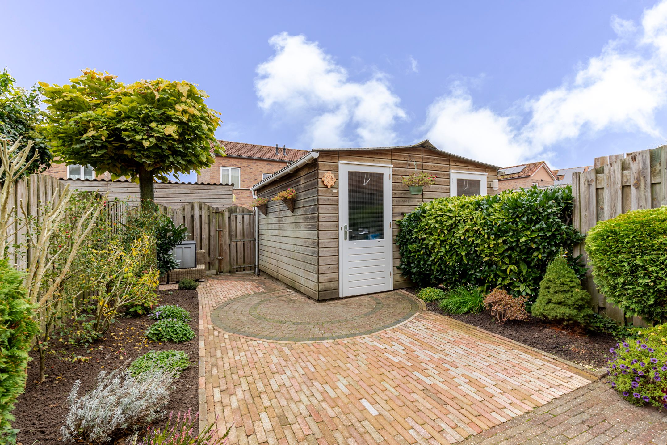 Foto 24 van Schijfmos 48