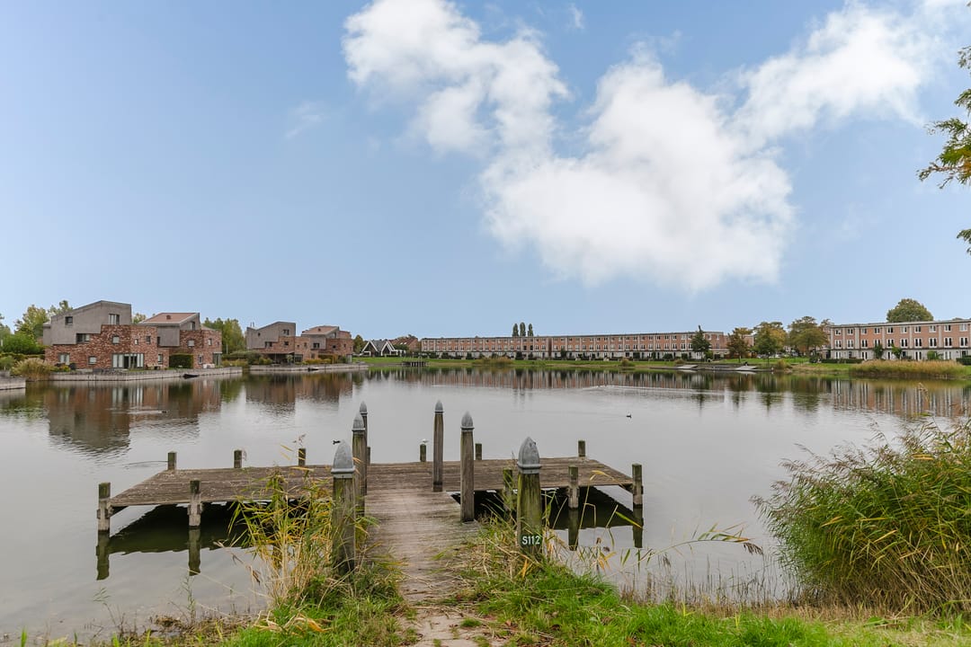 Foto 28 van Schijfmos 48