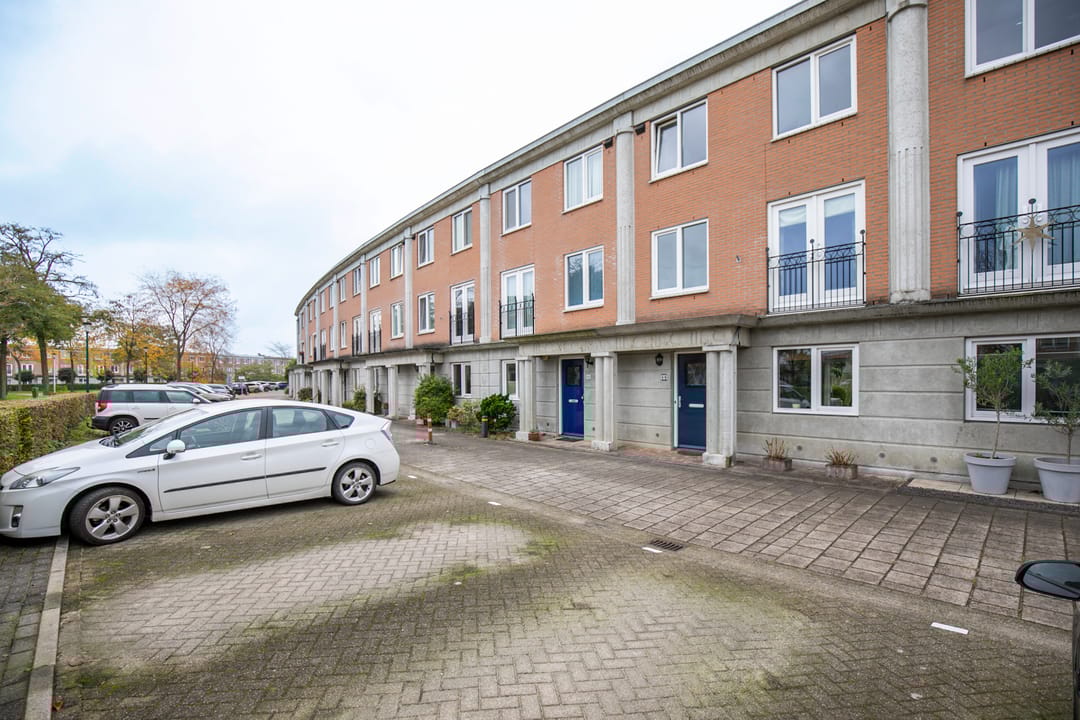 Foto 26 van Schijfmos 48