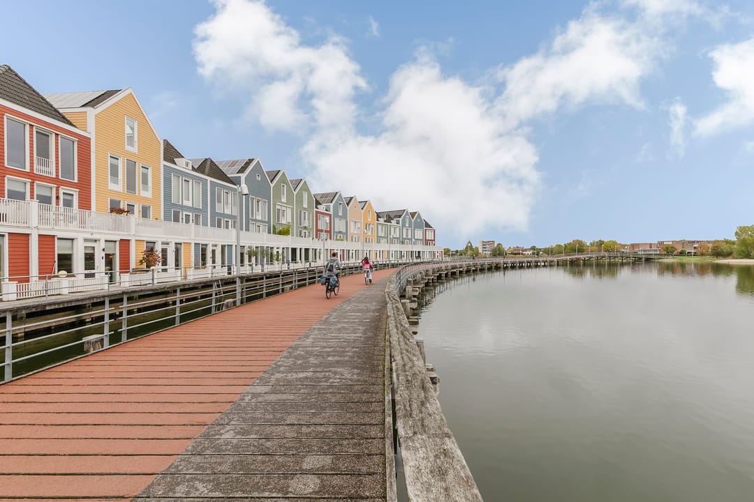 Foto 31 van Schijfmos 48