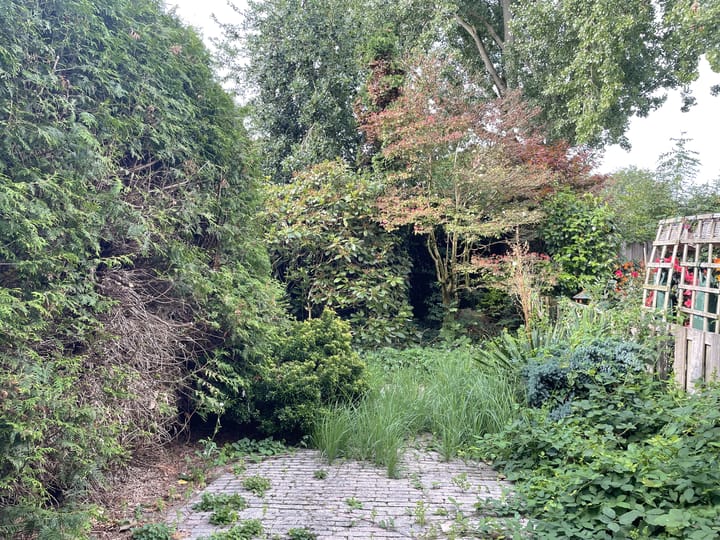 Photo 6 of Kloosterlaan 97