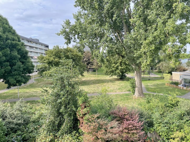 Photo 19 of Kloosterlaan 97