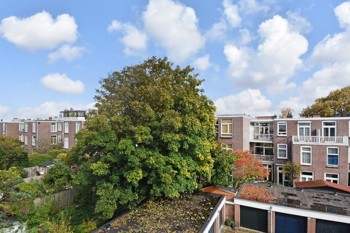 Foto 35 van Meidoornstraat 29-A