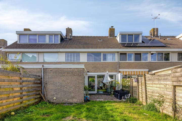 Photo 20 of De Omloop 10