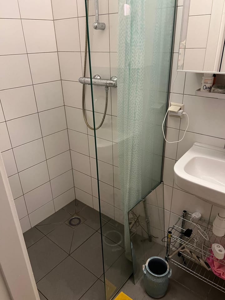 Foto 4 van Molstraat 46-A