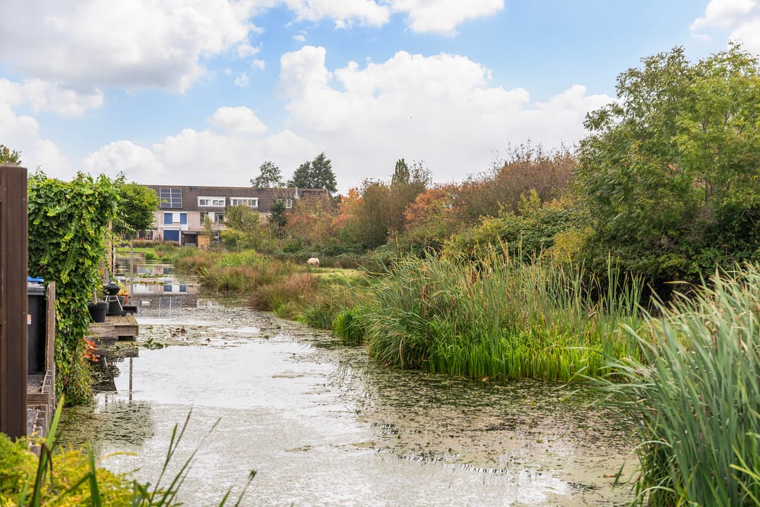 Foto 26 van Meeuwenlaan 11