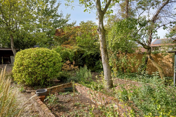 Foto 25 van De Gebuurte 5