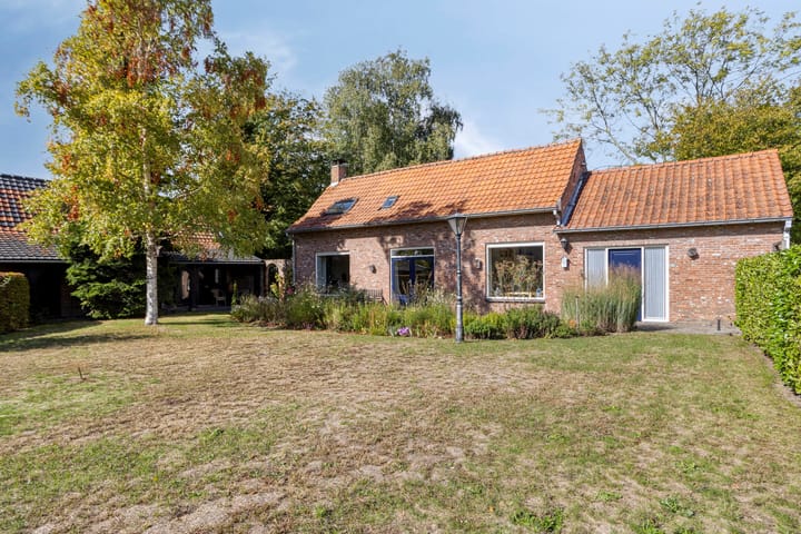 Foto 33 van De Gebuurte 5