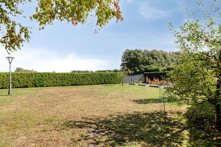 Foto 34 van De Gebuurte 5