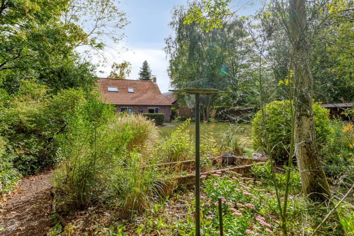 Foto 26 van De Gebuurte 5