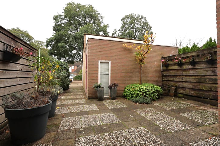 Foto 6 van Duizendblad 62