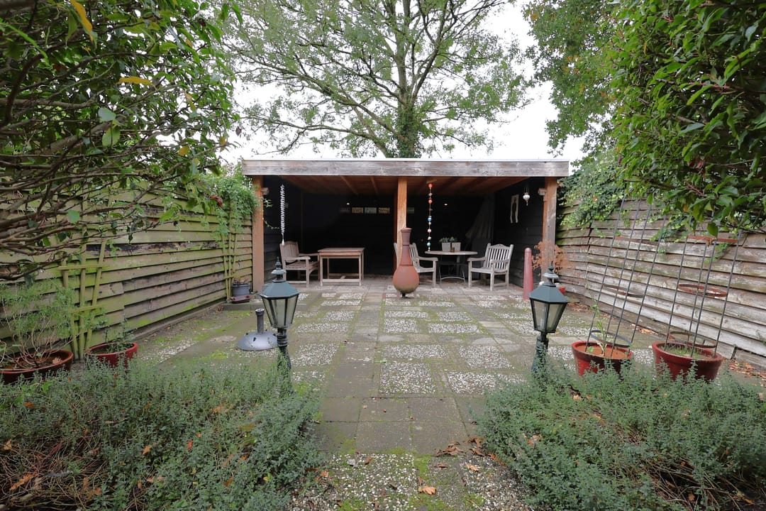 Photo 7 of Duizendblad 62