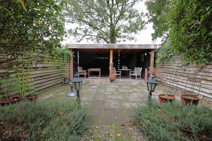 Foto 7 van Duizendblad 62