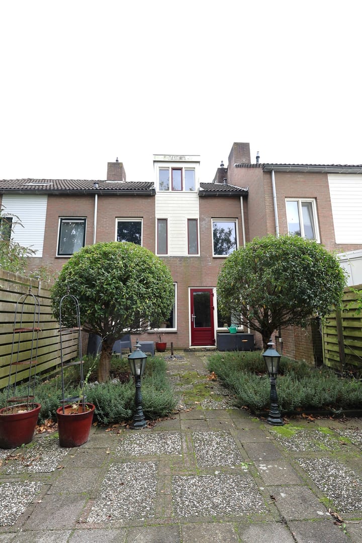 Foto 10 van Duizendblad 62