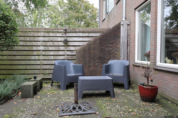 Foto 11 van Duizendblad 62