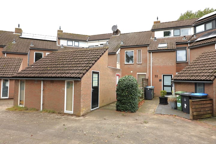 Foto 32 van Duizendblad 62