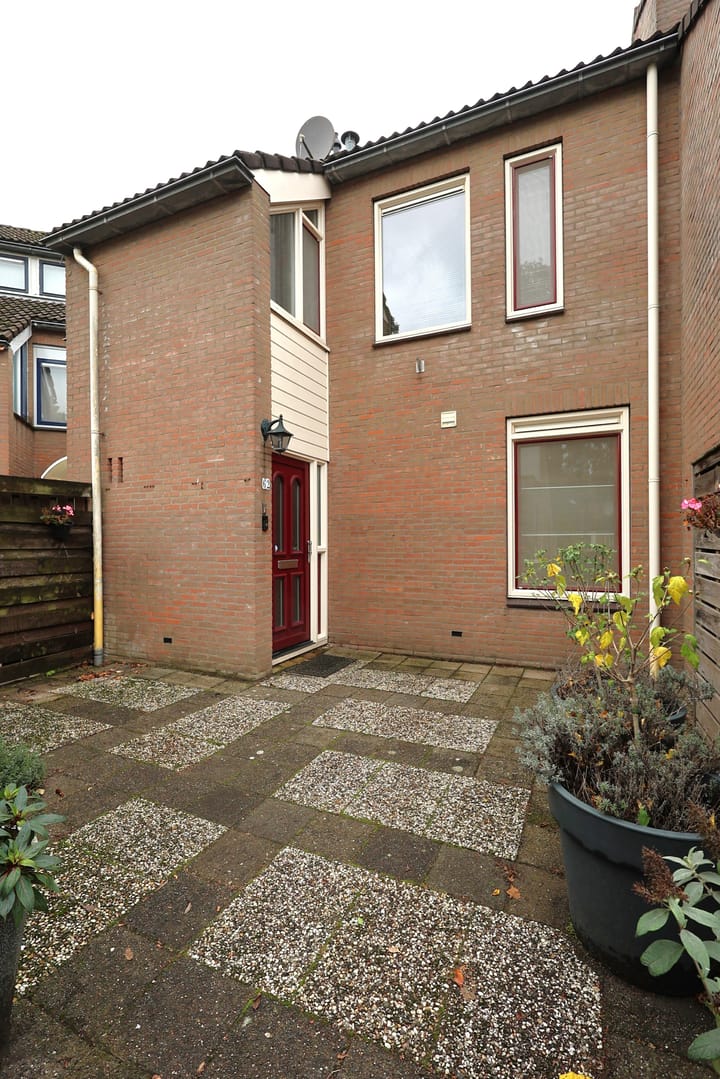 Foto 5 van Duizendblad 62