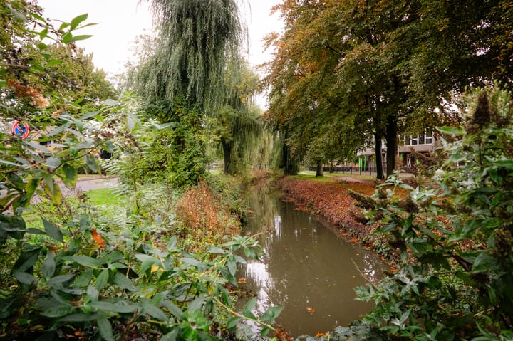 Foto 41 van Van Hogendorplaan 19