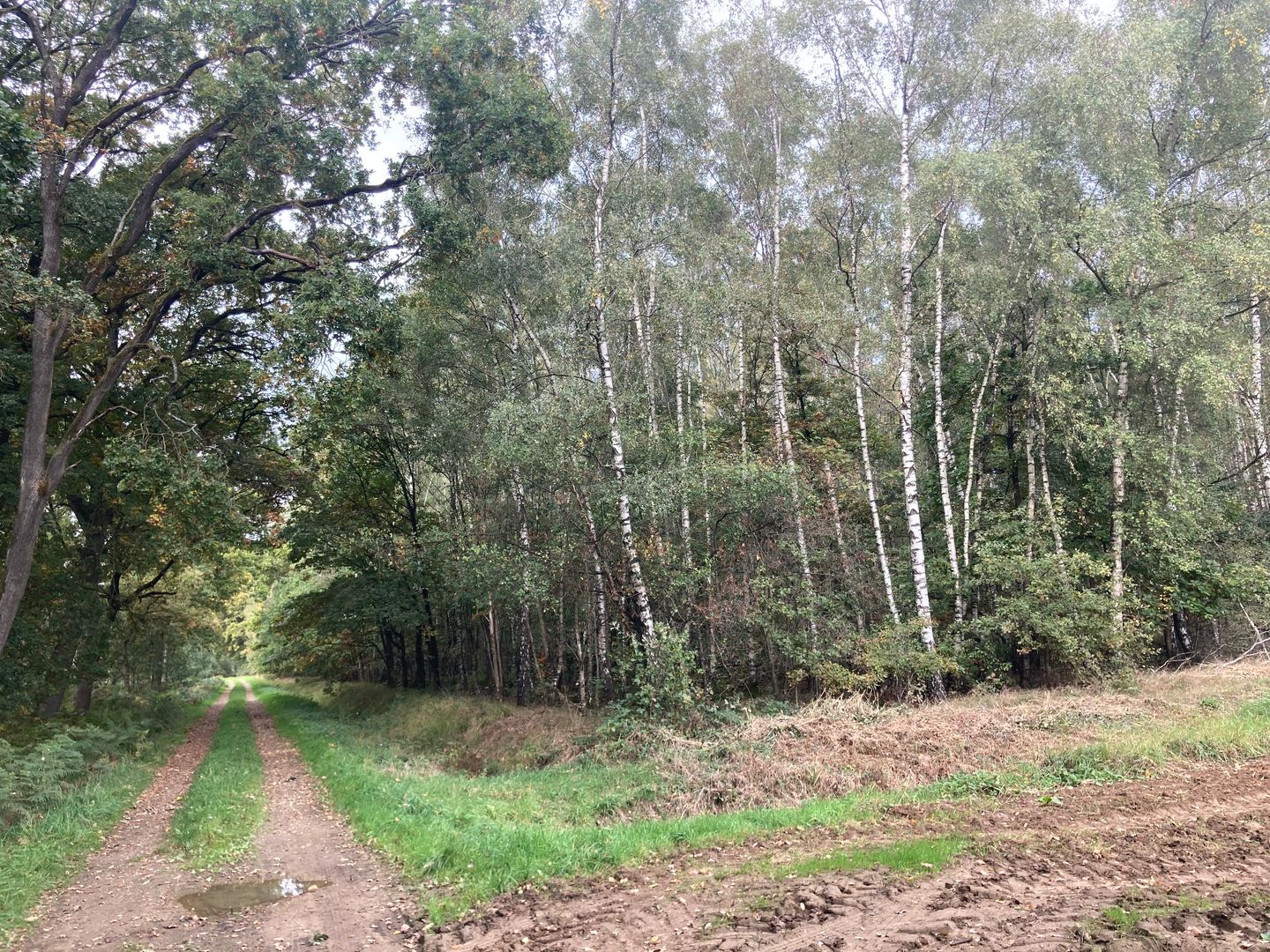 Bekijk foto 3 van 2e Peelweg