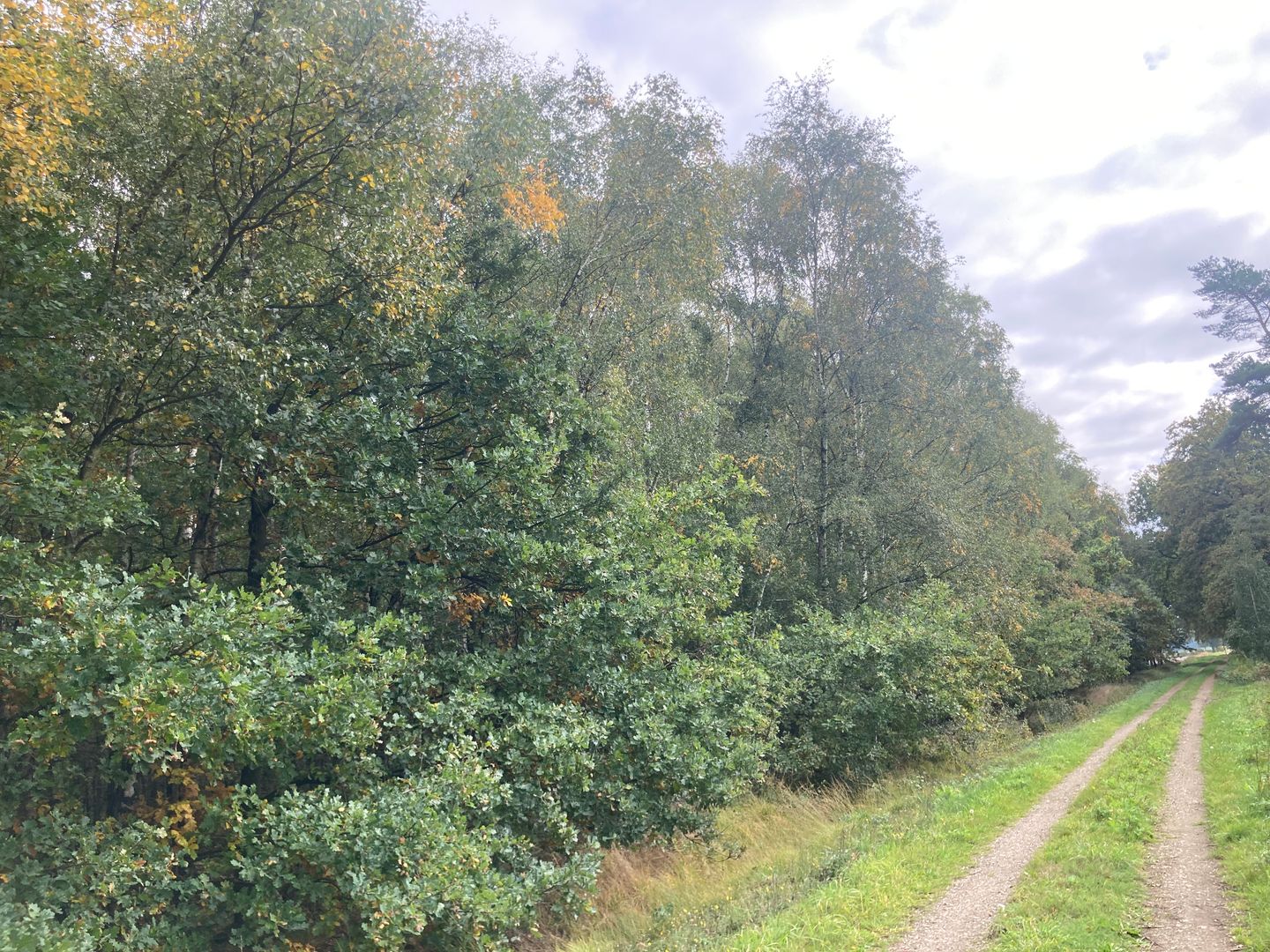 Bekijk foto 5 van 2e Peelweg